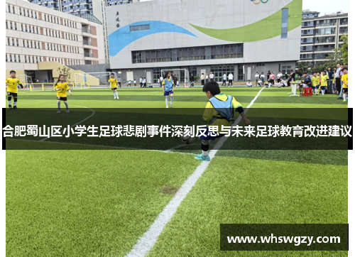 合肥蜀山区小学生足球悲剧事件深刻反思与未来足球教育改进建议