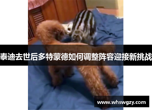 /uploads/images/20250907/tai-di-qu-shi-hou-duo-te-meng-de-ru-he-tiao-zheng-zhen-rong-ying-jie-xin-tiao-zhan.webp