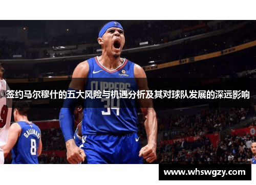 签约马尔穆什的五大风险与机遇分析及其对球队发展的深远影响 签约马尔穆什的五大风险与机遇分析及其对球队发展的深远影响